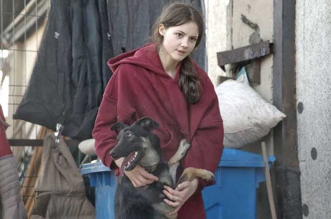 приют-для-животных3