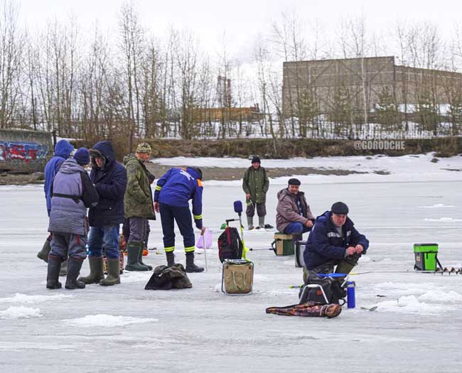Рейды спасателей: лед в зоне особого контроля