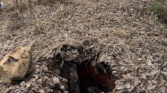 Место падения