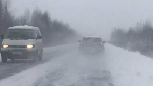 В Вологодской области ожидается резкое ухудшение погоды и мокрый снег