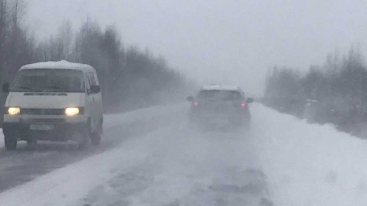 В Вологодской области ожидается резкое ухудшение погоды и мокрый снег