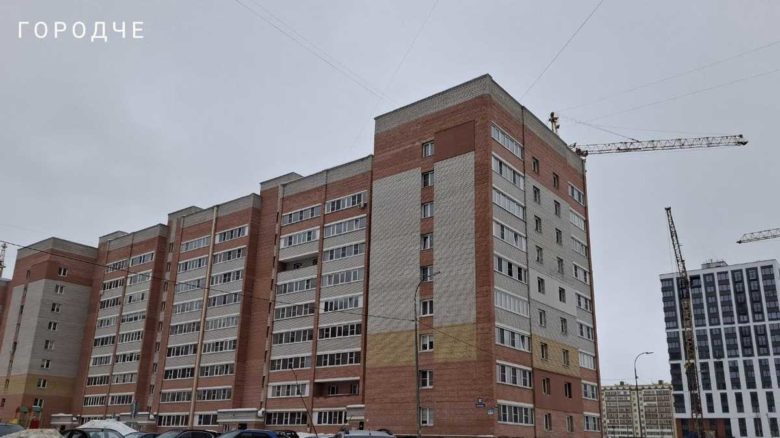 В Череповце из горящей квартиры спасли восемь кошек