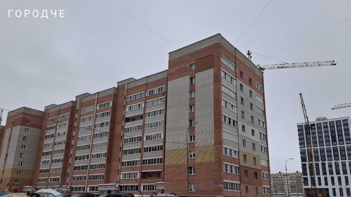 В Череповце из горящей квартиры спасли восемь кошек