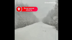 Россети на месте