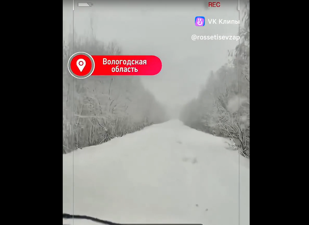 Россети на месте