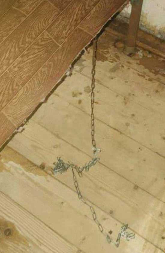 Дочь осуждена за жестокое обращение с матерью: суд назначил 4 года колонии