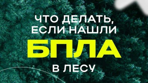 В Вологодской области жителей предупредили об опасности найденных в лесу беспилотников