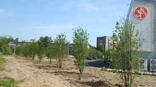 В городских парках и скверах этой весной высадили более двух тысяч растений