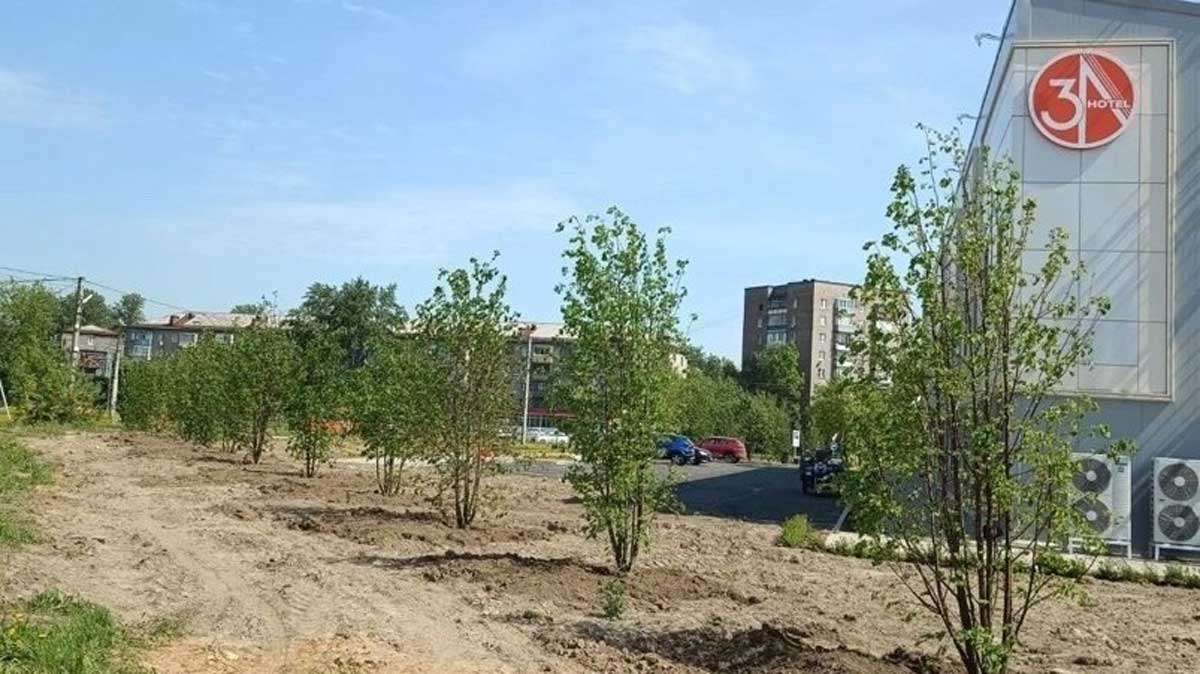 В городских парках и скверах этой весной высадили более двух тысяч растений