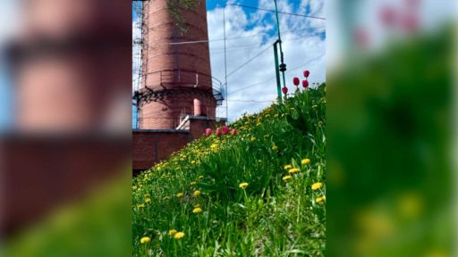В Череповце оценили состояние территорий у котельных