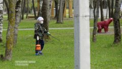 В Череповце стартовала масштабная обработка городских территорий от клещей