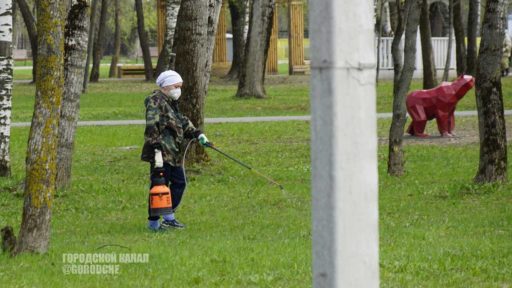 В Череповце стартовала масштабная обработка городских территорий от клещей
