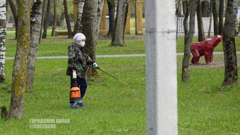 В Череповце стартовала масштабная обработка городских территорий от клещей