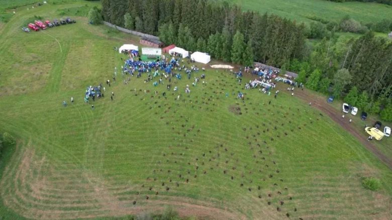 У подножия горы Маура в Вологодской области появился новый геоглиф