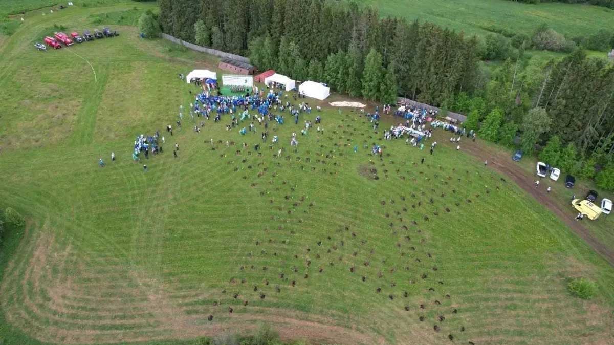 У подножия горы Маура в Вологодской области появился новый геоглиф