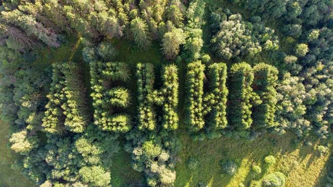 «У