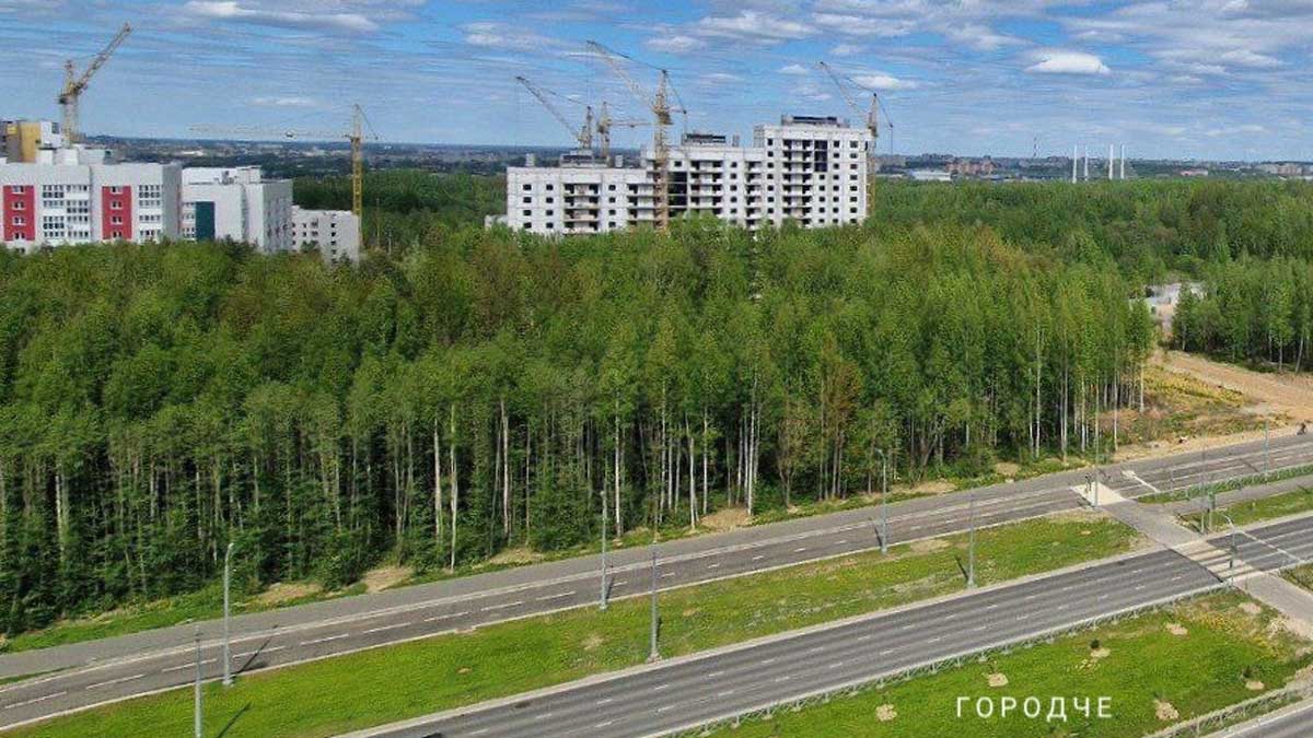 На Шекснинском проспекте началось благоустройство нового парка