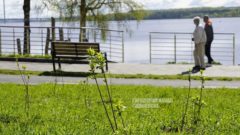 В Череповце появился сиреневый сад в честь 81-й весны Победы