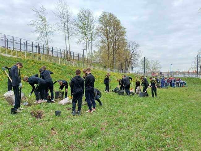 В Череповце появился сиреневый сад в честь 81-й весны Победы