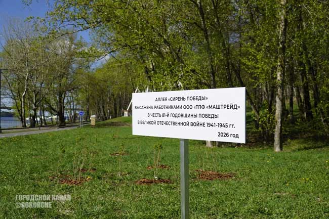 В Череповце появился сиреневый сад в честь 81-й весны Победы