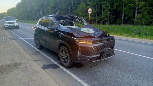 ДТП под Тарногой