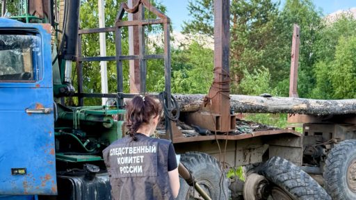 Осмотр места происшествия