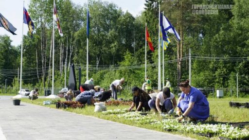 На Аллее Славы в Череповце появилась памятная клумба в честь участников СВО