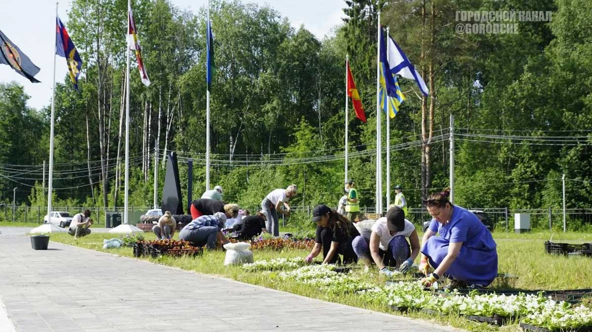 На Аллее Славы в Череповце появилась памятная клумба в честь участников СВО
