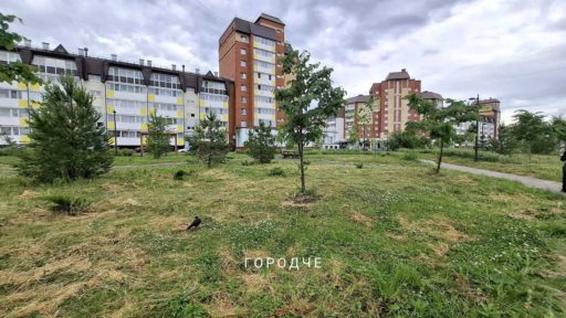 Жители Череповца решают вопросы благоустройства через приложение «Вологодский городовой»