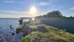 Обрушение берега у Рыбинского водохранилища в Городище