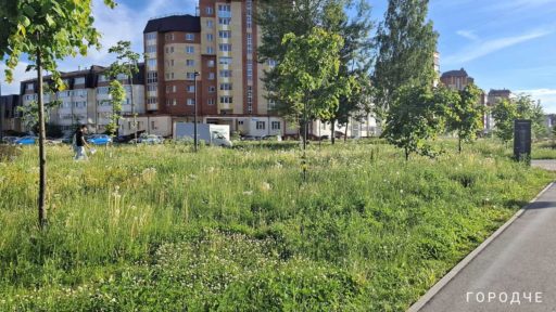 Сквер на Городецкой постепенно приводят в порядок после разрастания травы