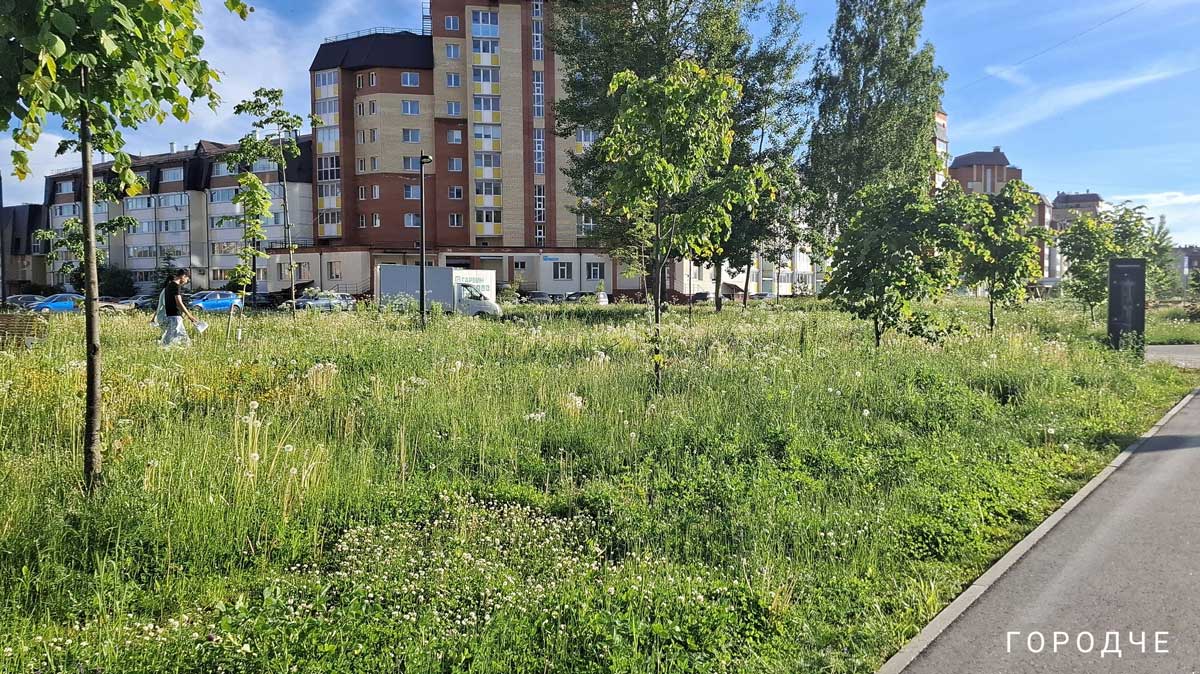 Сквер на Городецкой постепенно приводят в порядок после разрастания травы