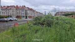 В Череповце стартовал капитальный ремонт участка улицы Любецкой