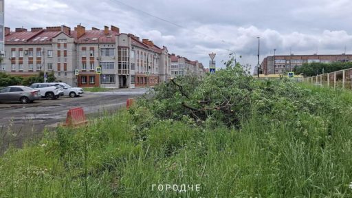 В Череповце стартовал капитальный ремонт участка улицы Любецкой