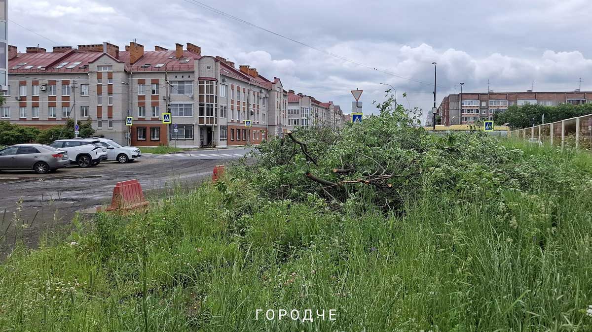 В Череповце стартовал капитальный ремонт участка улицы Любецкой