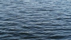 В Кадуе погибла 10-летняя девочка, утонувшая в водоеме