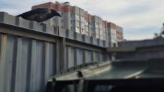 Закрытые контейнеры или мусор рядом: в Череповце ищут выход