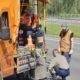 В Череповце продолжают обновлять дорожную разметку