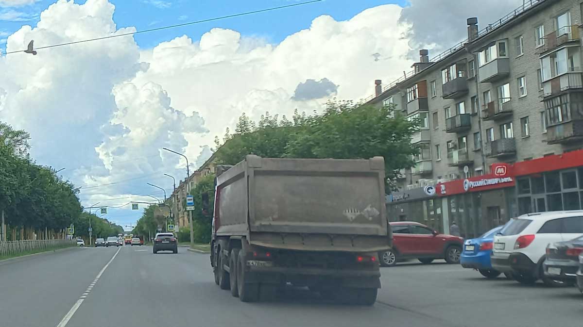 На улице Ленина заменят аварийные тополя новыми липами