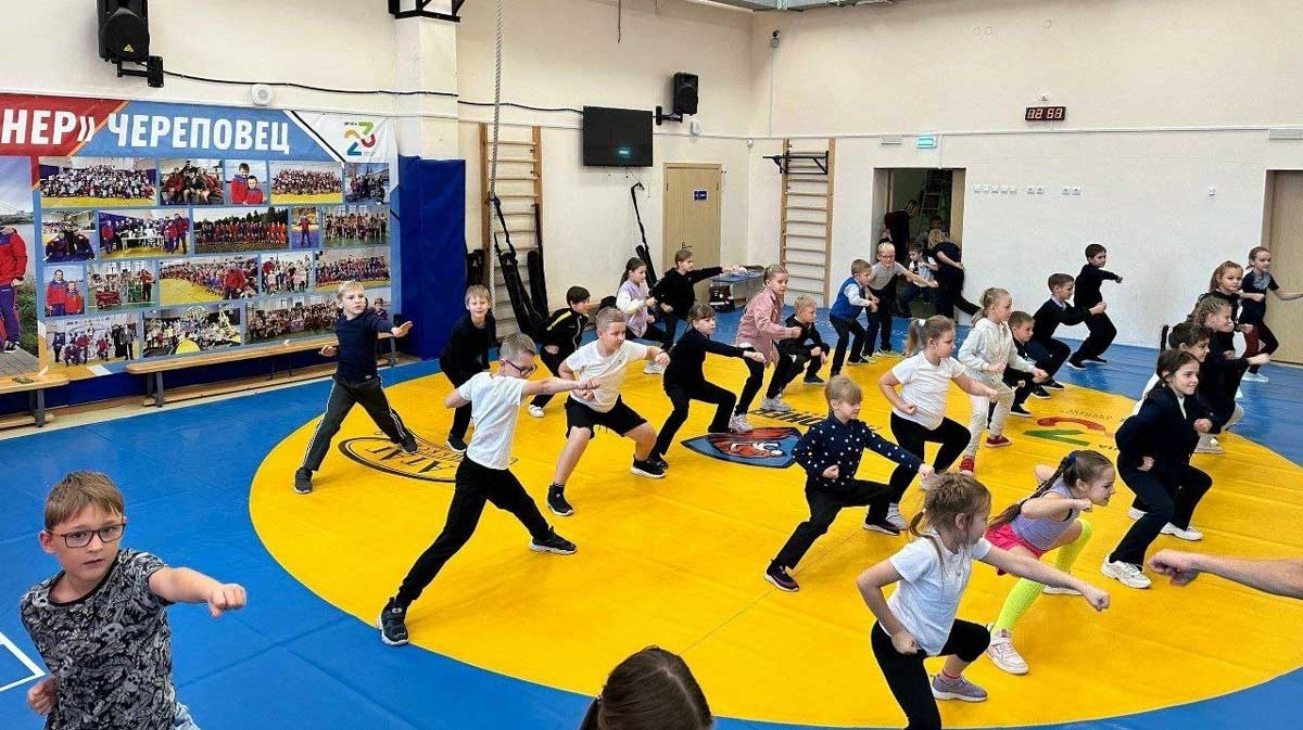 Еще 20 школ Вологодской области получат оборудование для занятий ушу