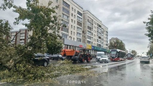 Упавшее на пути дерево остановило трамваи на Советском проспекте