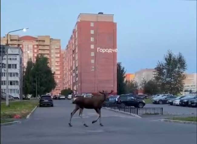 «На