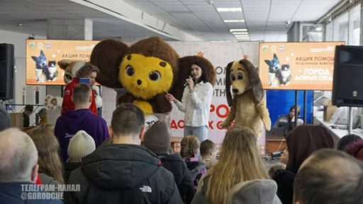 Череповчан призвали помочь приютам для бездомных животных