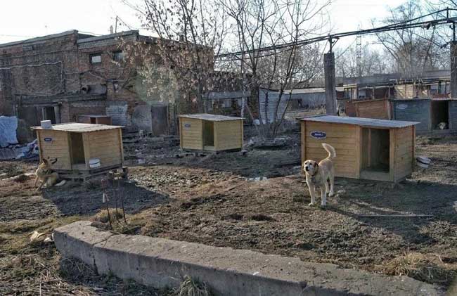«Череповчан