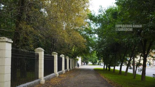 В Комсомольском парке Череповца начали вырубать старые деревья