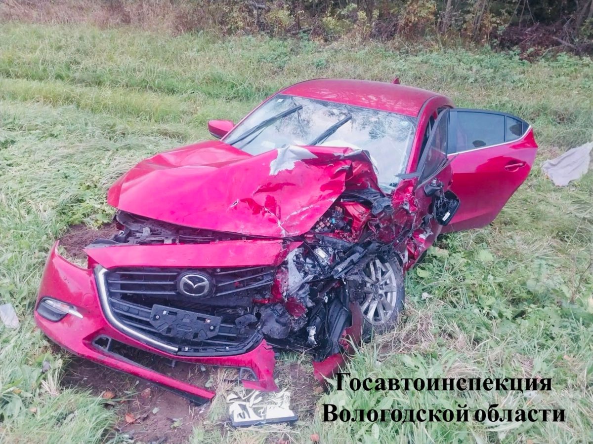 Мазда
