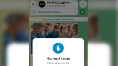 Микросоциум