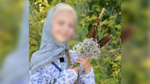 Нашлась 11-летняя девочка, которую разыскивали в Вологодской области