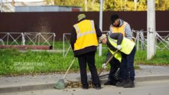 уборка опавшей листвы