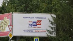 выборы